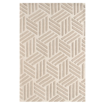 Marcenia Abstract Hand Woven Area Rug