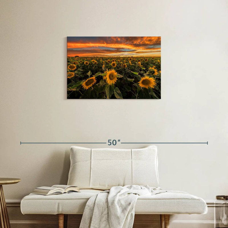 Alvord California Sunflower Field, 20" H x 30" W