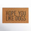 Apex Non-Slip Indoor/Outdoor Doormat