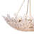 Charlotte Chandelier
