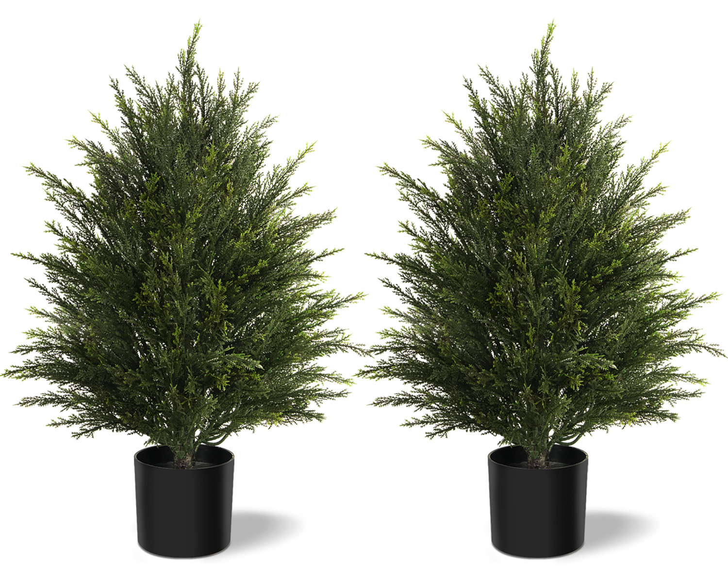 Cedar Tree in Pot, 2, 25.2" H x 15.7" W x 15.7" D