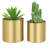 Jaspal Brushed Brass Plated Pot Planter Indoor-1839781900