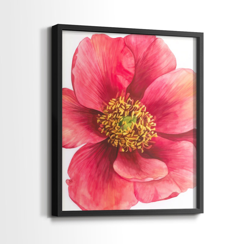 Tree Peony I Framed Print - Solid Wood