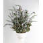 Arrangement de lavande en pot
