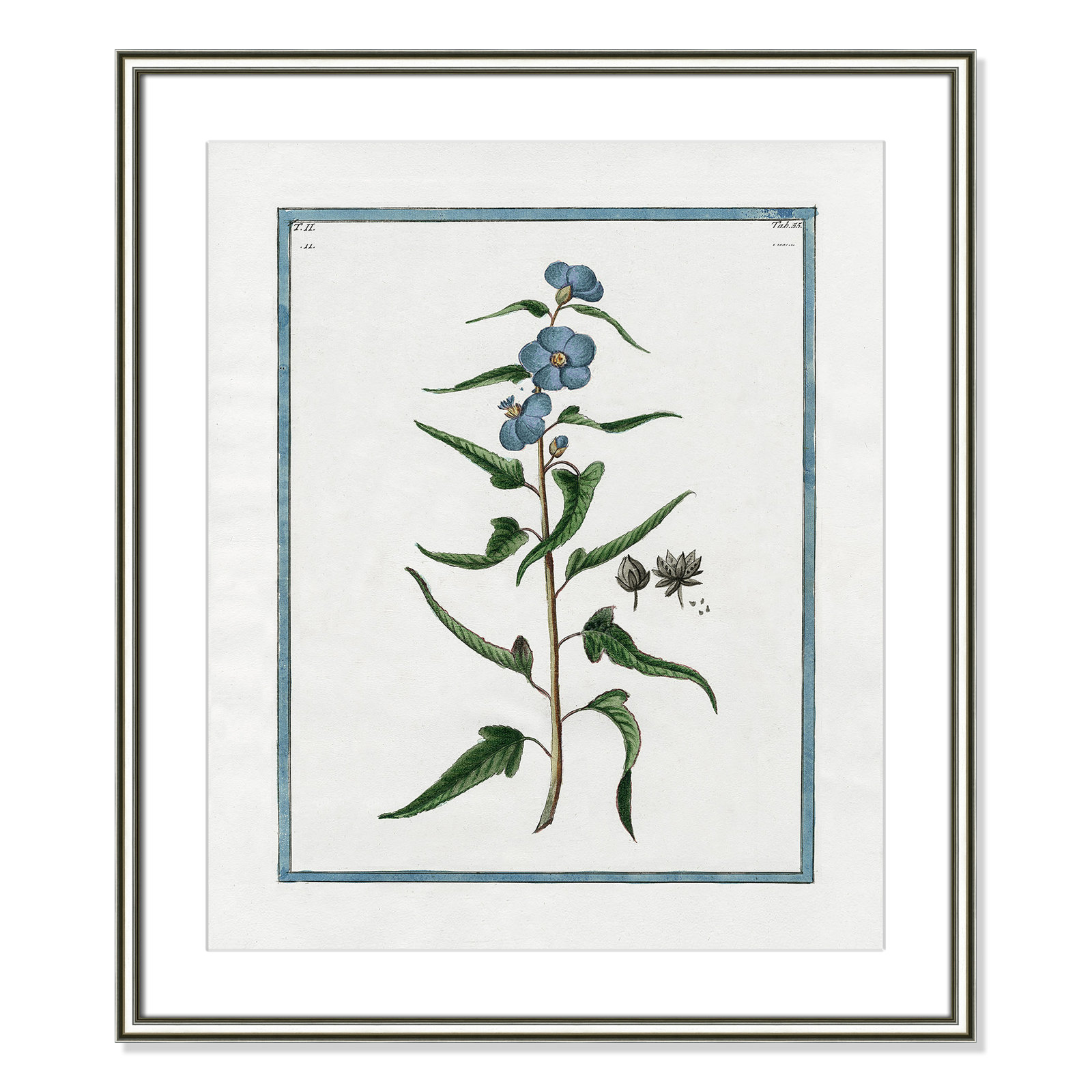 Colombe "Shabby Elegance Botanical I" Print, 22.75" W x 26.75" H, Silver Framed