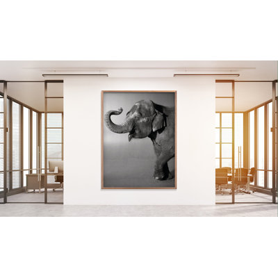«Belle» par Trunk Archive - cadre photographique