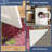 Asenet Mums Indoor/Outdoor-260090103