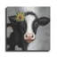  «Daisy Cow» par Elizabeth Tyndall, art mural en métal, 24 po x 24 po-707749695