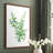 Eucalyptus III Framed Print - Solid Wood-1040797072-1040797083
