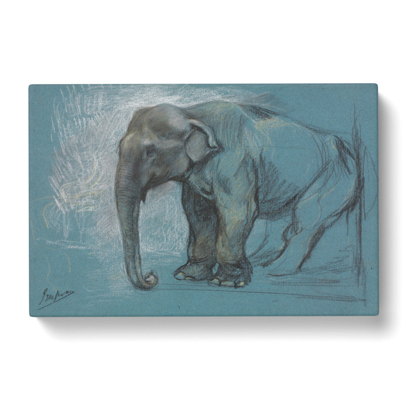 Study Of An Elephant by John Macallan Swan - Wrapped Canvas Painting, 35cm H x 50cm W x 3cm D