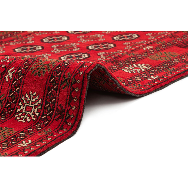 Tapis rouge Elam