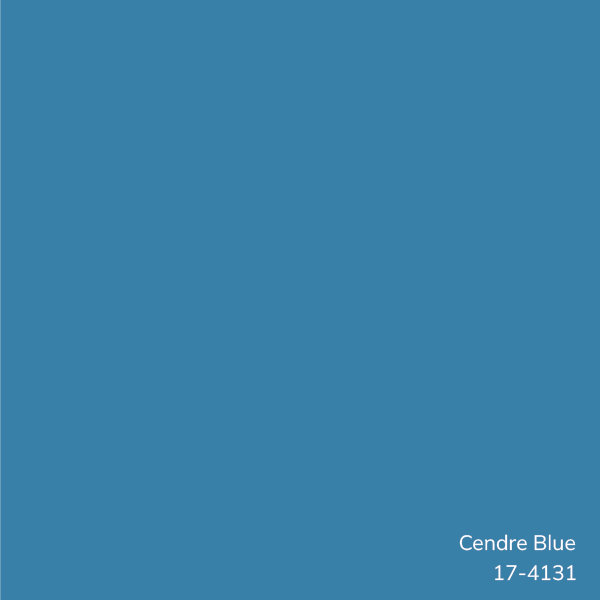 Oreiller 100% coton Edgar Square, Bleu vif, Polyester/ bourre en polyester, H 18 po x l 18 po