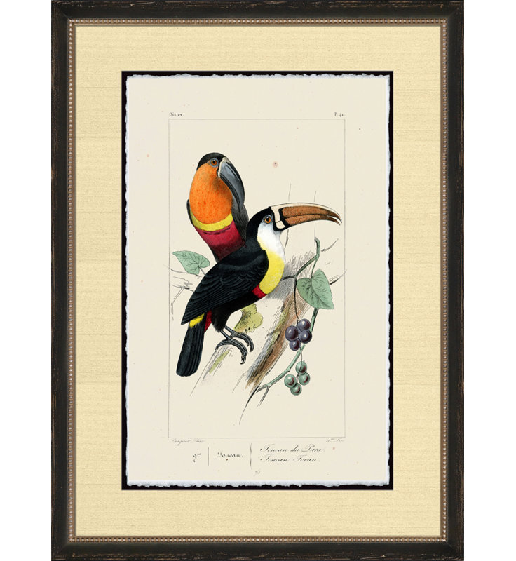 Torean Print