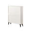 Versatile Shoe Cabinet with Multiple Compartments for Organized and Efficient Storage-199723998