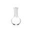 RIEDEL Performance Decanter