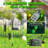 Solar Powered Halloween Eyeball Path Lights