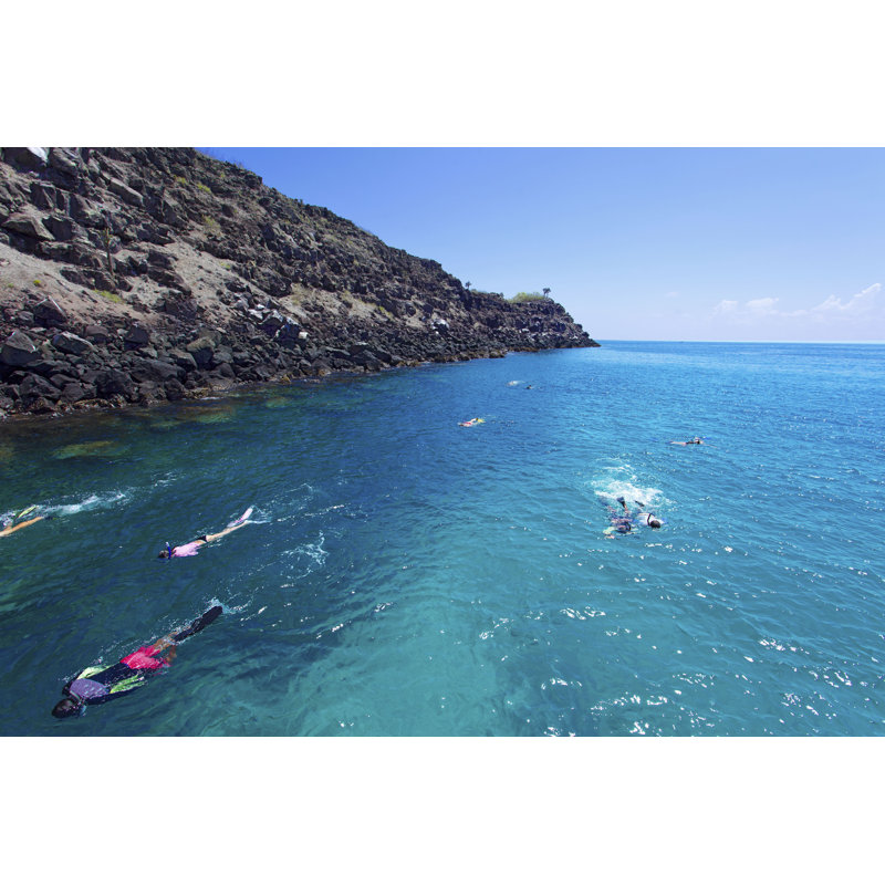 Group Swim. by Lauren Moran - Wrapped Canvas Print, 30cm H x 46cm W