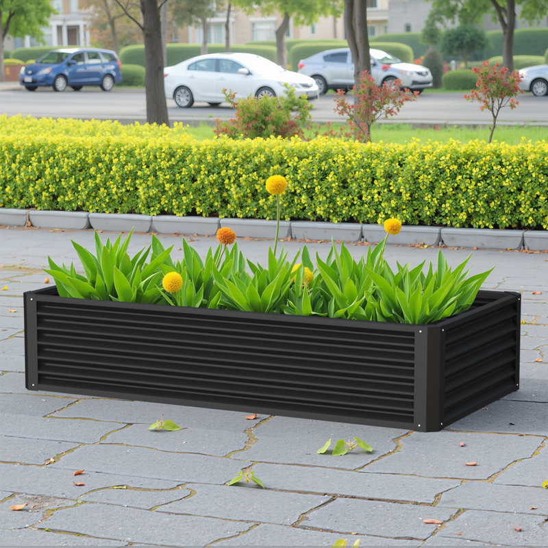 Platebande surélevée rectangulaire 6X3X1.5Ft