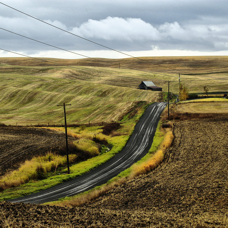 The Road Home by Colby Chester - Wrapped Canvas Art Prints, 122cm H x 122cm W