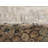 Bungalow Rose Campisi Traditional Oriental Polyester Blue Area Rug-278372617