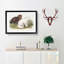 Arctic Fox by J.W. Audubon - Single Picture Frame Painting-55544566-55544565