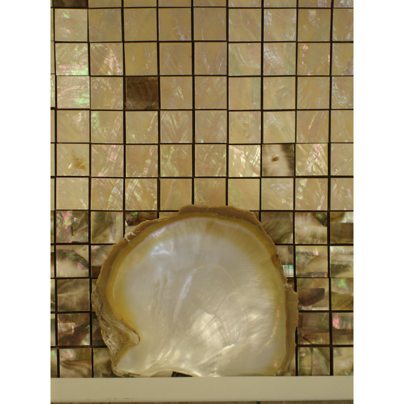 2" x 7.5" Authentic SeaShell Listello/Border Tile Mosaic in Abalone Pearl