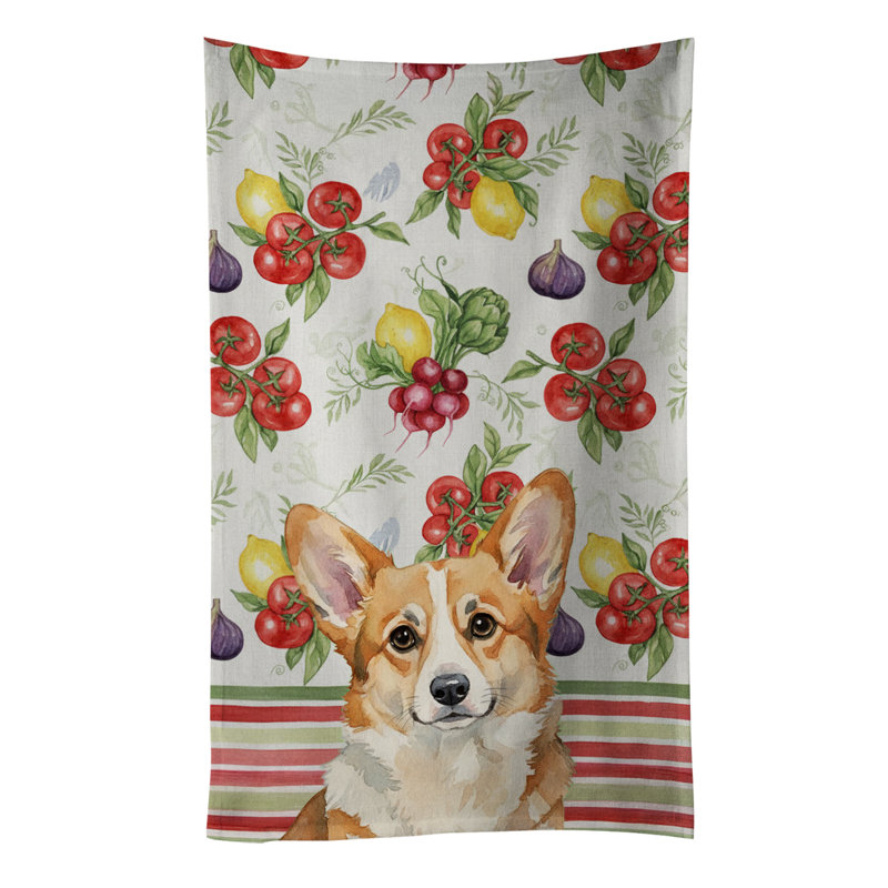 Torchon Corgi, Corgi