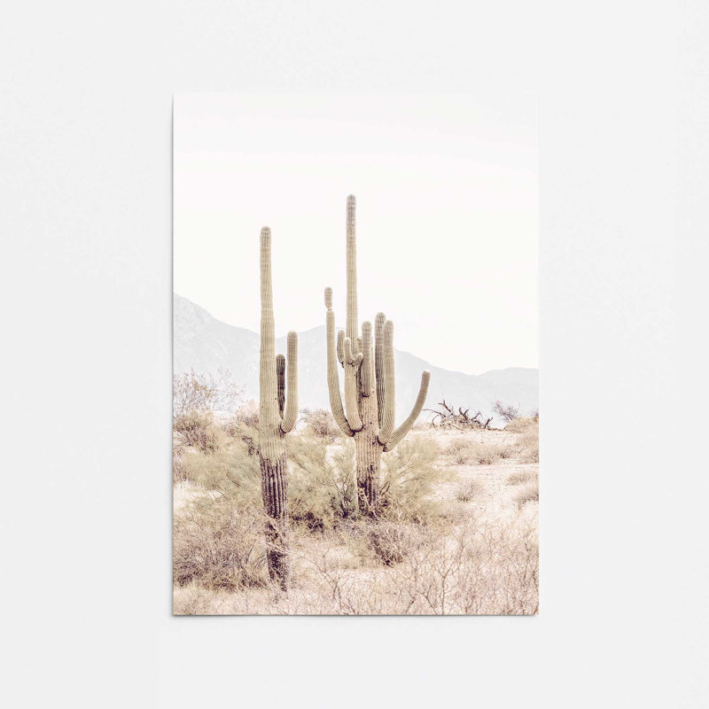 Cactus dans un refrain imprimé, H 10 po x l 8 po x P 0,1 po, Papier