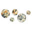 Éléments naturels motif tropical - ensemble d'art mural rond floral tropical de 5