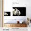 Tigre blanc curieux Brampt-107682741