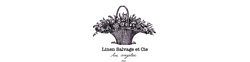 Linen Salvage Luxe logo