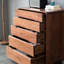 Armoire de rangement en noyer noir