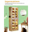 Armoire de style moderne, armoire à chaussures, armoire unique