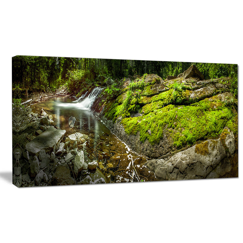 «Creek Moss and Rocks Panorama», reproduction de photo sur toile tendue, H 20 po x l 20 po x P 1 po