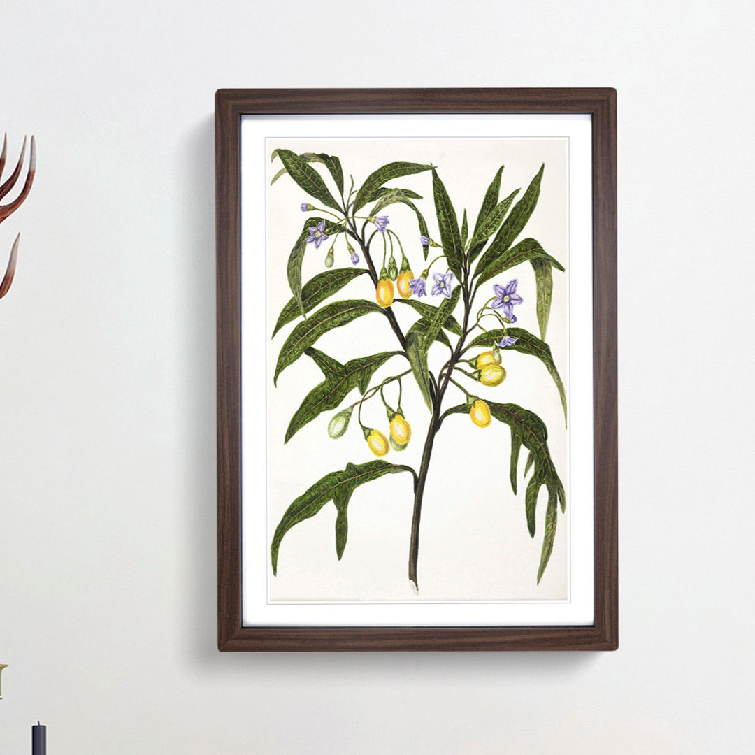 Poroporo Flowers by Sarah Featon - Picture Frame Painting Print