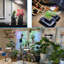 Ivy Bronx Grow Light