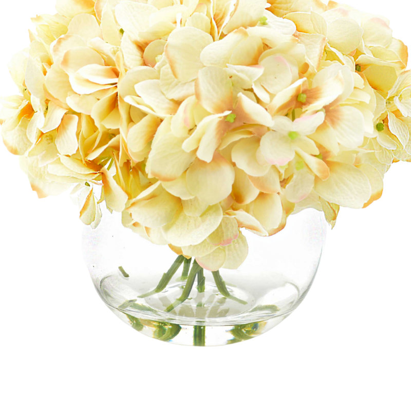 Hydrangea in Water