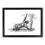 Three-Toed Sloth in Black & White by George Shaw - Picture Frame Drawing Print-55610950-55610953