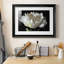 Imprimé WHITE PEONY-869220151-869220148