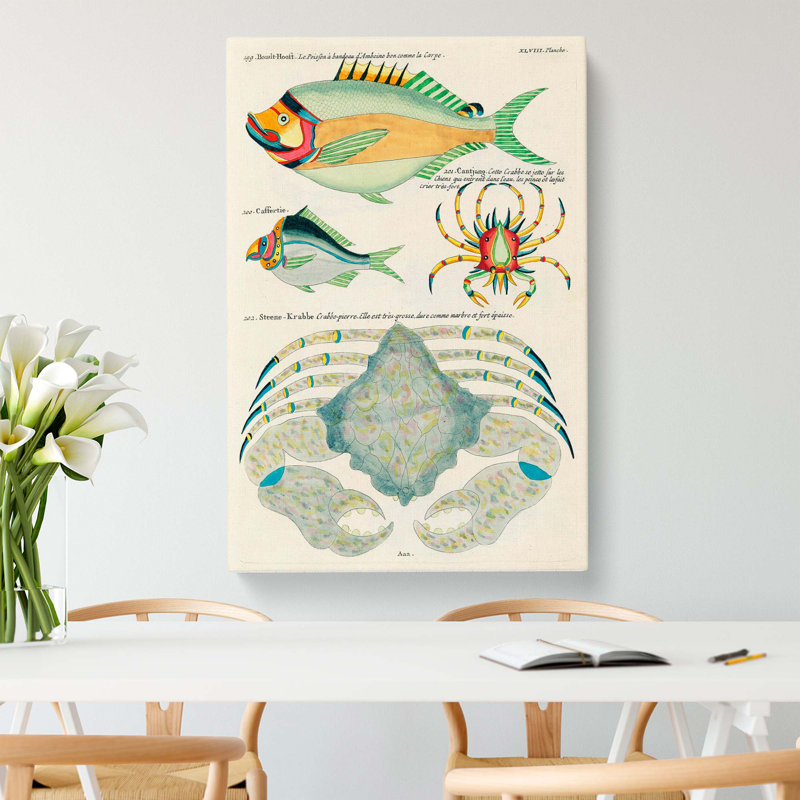 East Indies Fish & Crab Illustrations XLVIII by John Edward Gray - Wrapped Canvas, 76cm H x 50cm W x 3cm D
