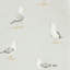 Shore Birds Wallpaper-50888738