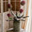 Thistle Arrangement-1752061244