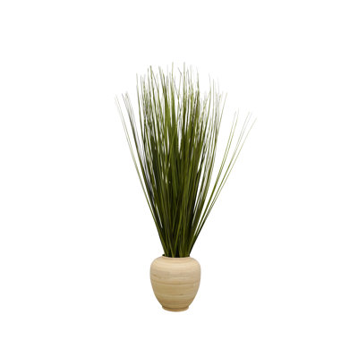 Herbe en bambou 30 po