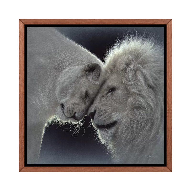 «White Lion Love» par Collin Bogle Print, H 26 po x l 26 po x P 1,5 po, Toile avec cadre en bois classique