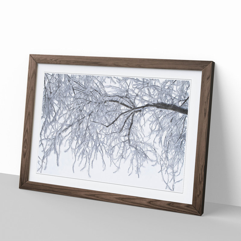 Tree in the Winter Vol.3 - Picture Frame Graphic Art, Walnut, 27cm H x 36cm W x 2cm D