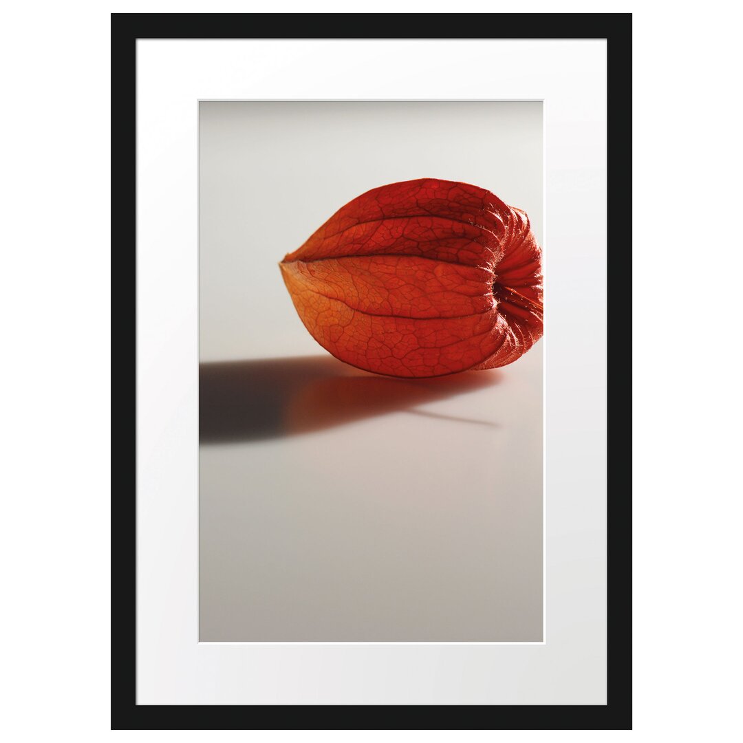 Kleine Physalis Gerahmter Fotodruck Poster