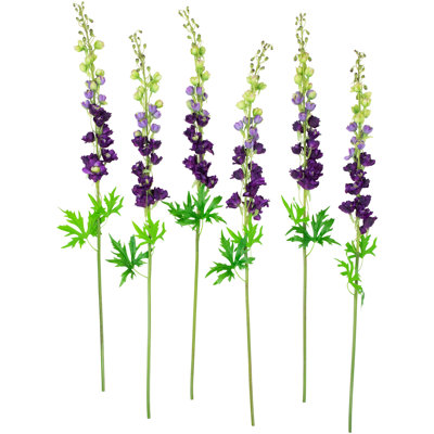 Tiges Delphinium
