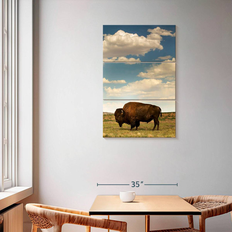 Rocky Mountain Bison