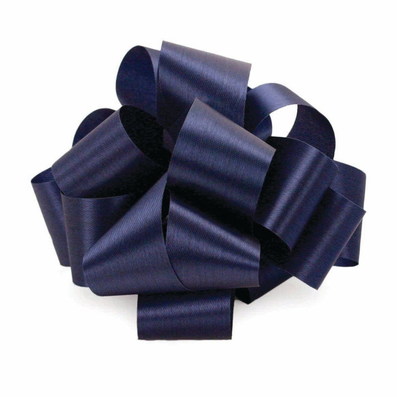 Ruban de 2,5 po X50YD, Marine