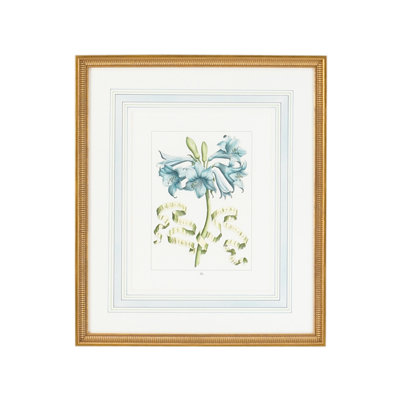 Blue Floral With Ribbon-C Print